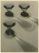 Alexis Delcroix, Study with glaces