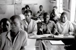 Dominique Houyet, Jungle School