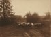 Jean Servais, Moutons
