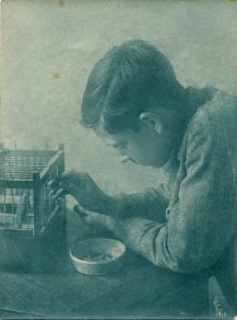 G. Lemajeur, Feeding the bird
