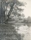 R. Wichtl, Landscape R. Wichtl, Landscape