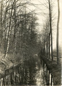 G. Lemajeur, Landscape #7