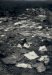 A. Hameryckx, Mountain of waste