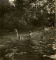 Unknown photographer, Nudist Camp Linkebeek # 31