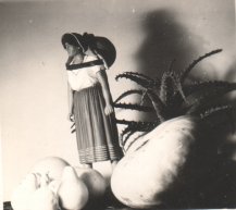Anonymous, Rural still life
