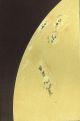 Richard A. Proctor, The sun, ruler, fire, light and life of the