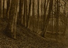 Jules Lejeune, In the woods #2