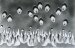 Allen A. Dutton, Surrealist photomontage #10