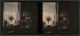 Unknown photographer, set of 9 Stereo Autochromes in original bo