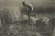Willy Kessels, Rural life