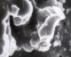 Prof. Dollfus, chantillon du sol Lunaire #03