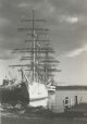 Foto Novi, Livorno, 3 photos of a tall sail boat