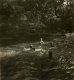Unknown photographer, Nudist Camp Linkebeek # 29