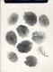 A. Hameryckx, Botanical Photogram #2