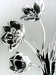 Roger Populaire, Tulipes IV