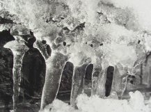 Roger Populaire, Ice