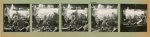 Pierre Boucher, Contact sheet