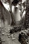 Dominique Houyet, Rhodesia