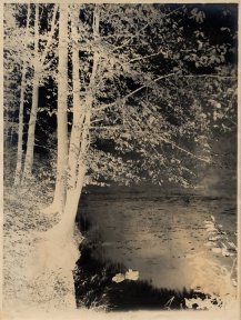Jules Lejeune, Etang, Paper negative