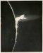 High Altitude Observatory, History of a Solar Explosion (set of
