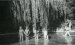 Unknown photographer, Nudist Camp Linkebeek # 25