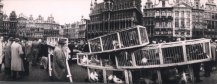 Robert Kayaert, Bird Market on the Grande Place, Brussels #2