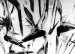 Anonymous, Paper negative flowers