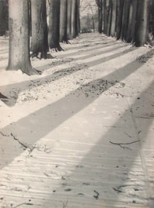 Victor Guidalevitch, Early Snow