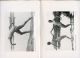 Gerhard Riebicke, Die Sch�nheit, Wege zu Kraft und Sch�nheit
