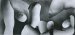 Allen A. Dutton, #11 �Guess and know - they are�