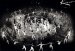 Robert Kayaert, Ballet du XXe si�cle #2