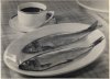 Alexis Delcroix, Nos d�lices