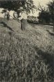 Willy Kessels, Rural life