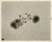 Mount Wilson Observatory, Great Sun-spot Group