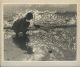 A. Polus, � la recherche de coquillages