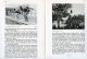 Gerhard Riebicke, Die Sch�nheit, Wege zu Kraft und Sch�nheit