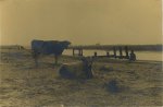Marcel Vanderkindere, A bord de l�Escaut