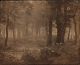 Unknown photographer, Wood bracken