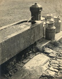 A. Polus, Fraicheur