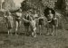 Unknown photographer, Group of people enjoying outdoor life #11