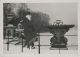 US Army Signal Corps, Medical Corps (15 photos)