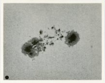 Mount Wilson Observatory, Great sun-spot group