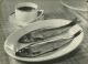 Alexis Delcroix, Study with two fishes