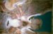 Verf., HUMAN war BODY terror AFTER aggression25