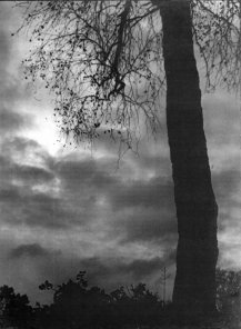 Victor Guidalevitch, Crepuscule