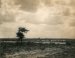 Marcel Vanderkindere, Landscape study #2