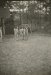 Willy Kessels, Nudist Camp Linkebeek # 49