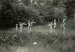 Unknown photographer, Nudist Camp Linkebeek # 21