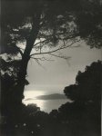 Unknown photographer, Sunset between the trees