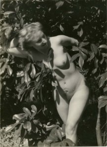 Unknown photographer, Hiding nude